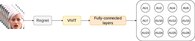 Figure 1 for Vision Transformer for Action Units Detection