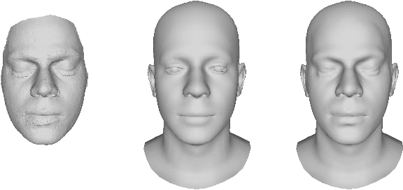 Figure 4 for High-Res Facial Appearance Capture from Polarized Smartphone Images