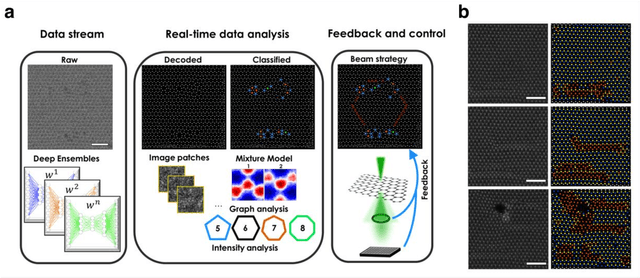 Figure 3 for Deep Learning for Automated Experimentation in Scanning Transmission Electron Microscopy