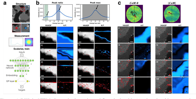 Figure 4 for Deep Learning for Automated Experimentation in Scanning Transmission Electron Microscopy