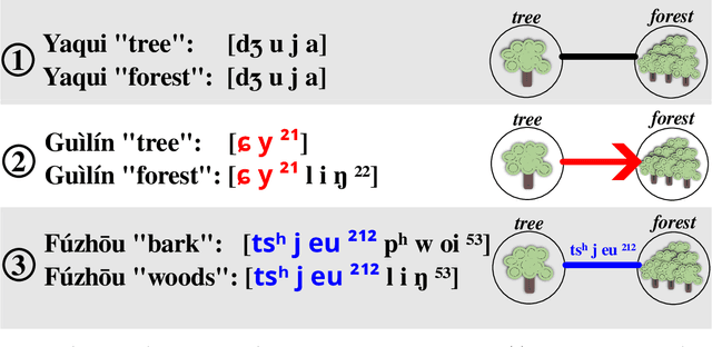 Figure 1 for Inference of Partial Colexifications from Multilingual Wordlists