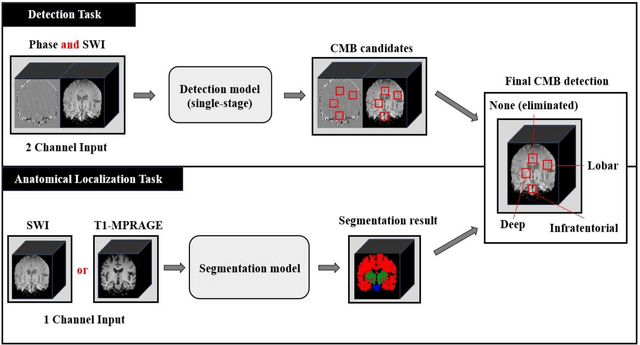 Figure 3 for Toward Automated Detection of Microbleeds with Anatomical Scale Localization: A Complete Clinical Diagnosis Support Using Deep Learning