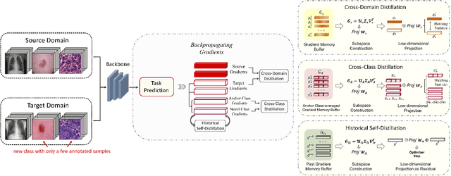 Figure 3 for Taxonomy Adaptive Cross-Domain Adaptation in Medical Imaging via Optimization Trajectory Distillation