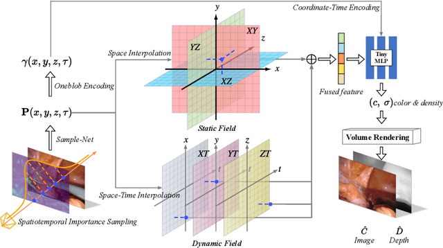 Figure 3 for Neural LerPlane Representations for Fast 4D Reconstruction of Deformable Tissues