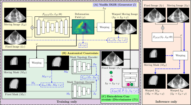 Figure 1 for Multi-scale, Data-driven and Anatomically Constrained Deep Learning Image Registration for Adult and Fetal Echocardiography