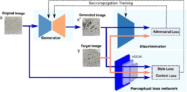 Figure 3 for BioGAN: An unpaired GAN-based image to image translation model for microbiological images
