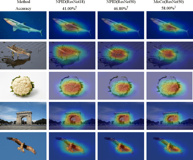 Figure 3 for Feature Activation Map: Visual Explanation of Deep Learning Models for Image Classification