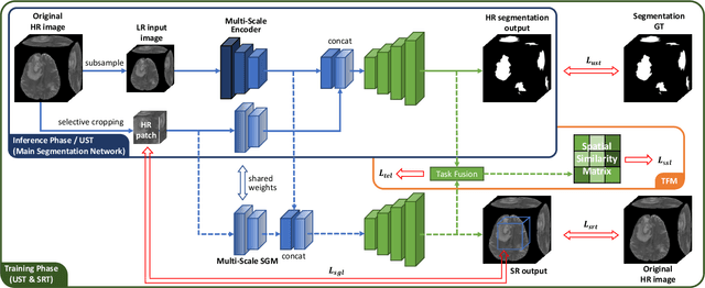 Figure 2 for Super-Resolution Based Patch-Free 3D Medical Image Segmentation with Self-Supervised Guidance