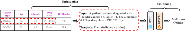 Figure 3 for Boosting Transformers and Language Models for Clinical Prediction in Immunotherapy