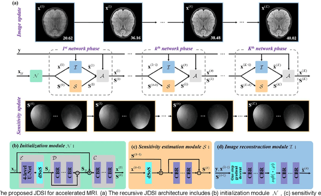 Figure 2 for A Faithful Deep Sensitivity Estimation for Accelerated Magnetic Resonance Imaging