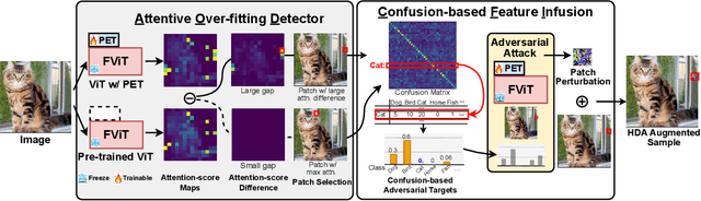 Figure 3 for Hint-Aug: Drawing Hints from Foundation Vision Transformers Towards Boosted Few-Shot Parameter-Efficient Tuning