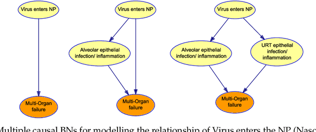 Figure 4 for Causal knowledge engineering: A case study from COVID-19