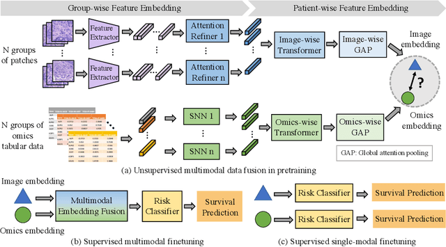 Figure 1 for Pathology-and-genomics Multimodal Transformer for Survival Outcome Prediction