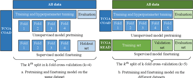 Figure 3 for Pathology-and-genomics Multimodal Transformer for Survival Outcome Prediction