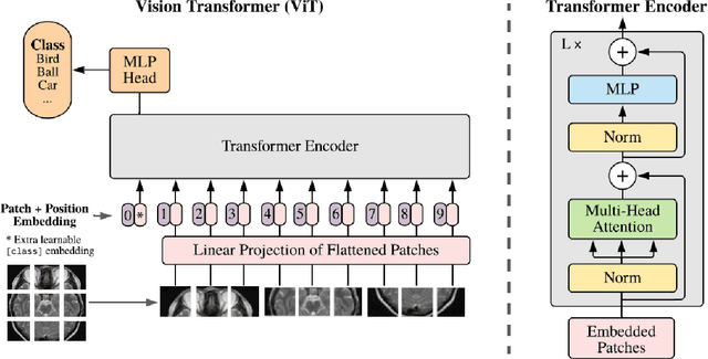 Figure 1 for Interpretable Medical Imagery Diagnosis with Self-Attentive Transformers: A Review of Explainable AI for Health Care