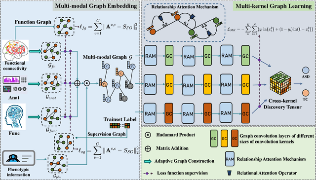 Figure 1 for Multi-modal Multi-kernel Graph Learning for Autism Prediction and Biomarker Discovery