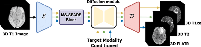 Figure 1 for Adaptive Latent Diffusion Model for 3D Medical Image to Image Translation: Multi-modal Magnetic Resonance Imaging Study
