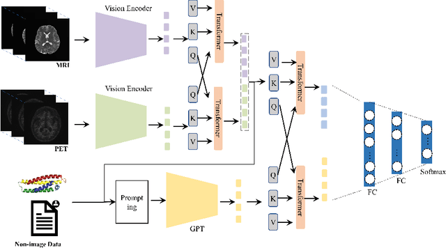 Figure 1 for Large language models improve Alzheimer's disease diagnosis using multi-modality data