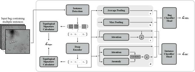 Figure 4 for Topologically-Regularized Multiple Instance Learning for Red Blood Cell Disease Classification