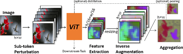 Figure 3 for Sub-token ViT Embedding via Stochastic Resonance Transformers