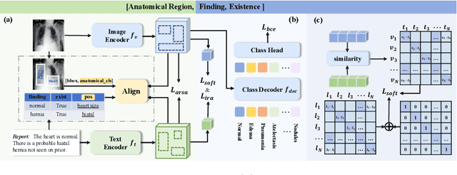 Figure 3 for Anatomical Structure-Guided Medical Vision-Language Pre-training