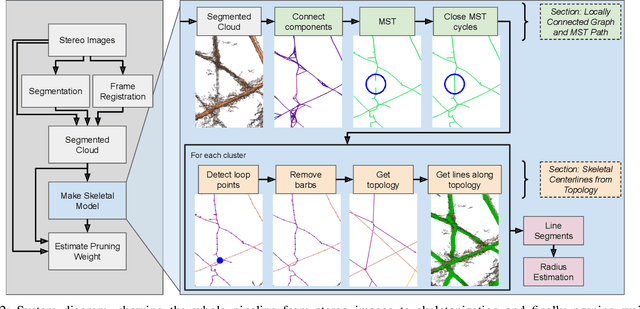 Figure 2 for 3D Skeletonization of Complex Grapevines for Robotic Pruning