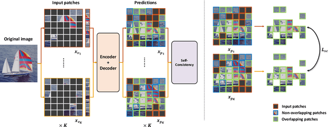 Figure 3 for Efficient Masked Autoencoders with Self-Consistency