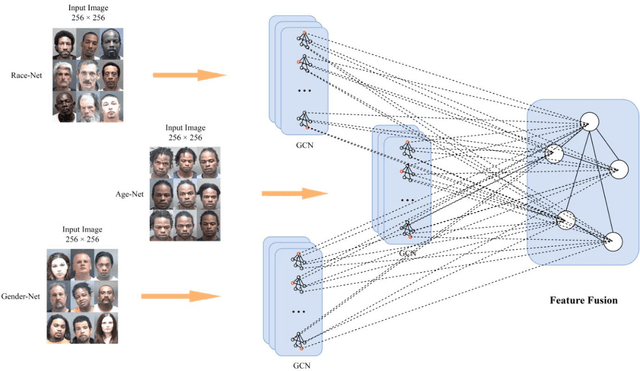 Figure 4 for Age Estimation Based on Graph Convolutional Networks and Multi-head Attention Mechanisms