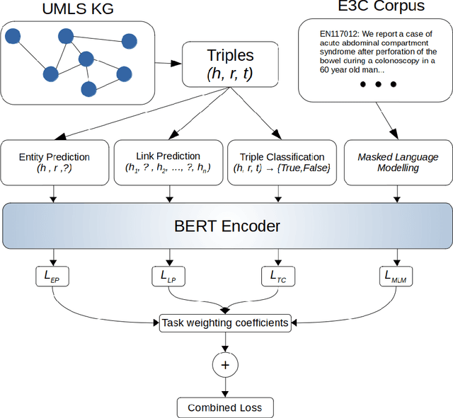 Figure 1 for UMLS-KGI-BERT: Data-Centric Knowledge Integration in Transformers for Biomedical Entity Recognition