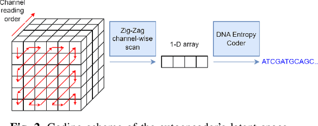 Figure 2 for Image storage on synthetic DNA using compressive autoencoders and DNA-adapted entropy coders
