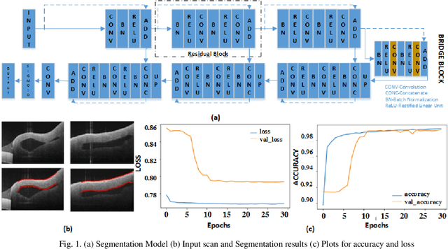 Figure 1 for Deep Learning based Segmentation of Optical Coherence Tomographic Images of Human Saphenous Varicose Vein