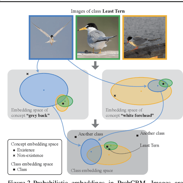 Figure 3 for Probabilistic Concept Bottleneck Models