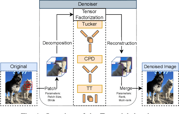 Figure 1 for Robust Adversarial Defense by Tensor Factorization