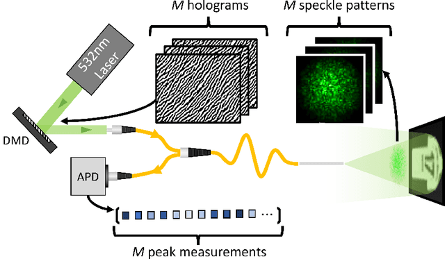 Figure 1 for Robust real-time imaging through flexible multimode fibers