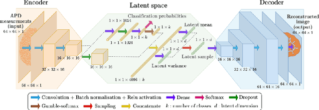 Figure 2 for Robust real-time imaging through flexible multimode fibers
