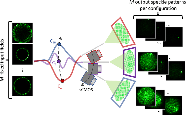 Figure 3 for Robust real-time imaging through flexible multimode fibers