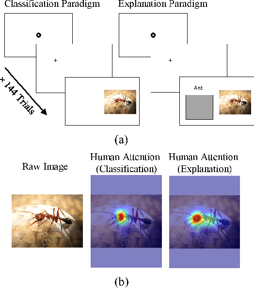 Figure 1 for Human Attention-Guided Explainable Artificial Intelligence for Computer Vision Models