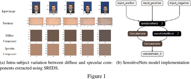 Figure 1 for Generalizability and Application of the Skin Reflectance Estimate Based on Dichromatic Separation (SREDS)