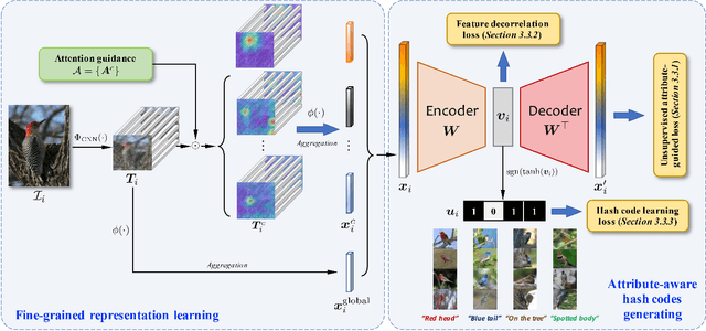 Figure 2 for Attribute-Aware Deep Hashing with Self-Consistency for Large-Scale Fine-Grained Image Retrieval