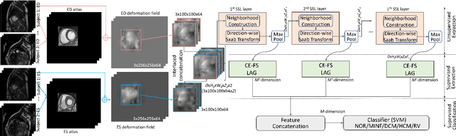 Figure 1 for Successive Subspace Learning for Cardiac Disease Classification with Two-phase Deformation Fields from Cine MRI