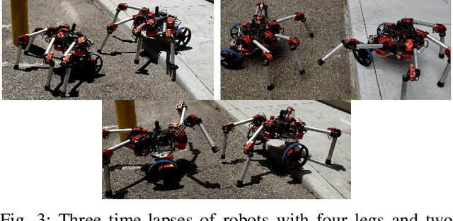 Figure 3 for Learning Modular Robot Visual-motor Locomotion Policies