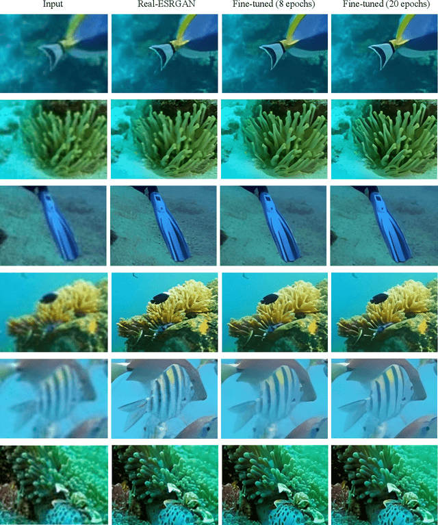 Figure 2 for Underwater Images Super-Resolution Using Generative Adversarial Network-based Model