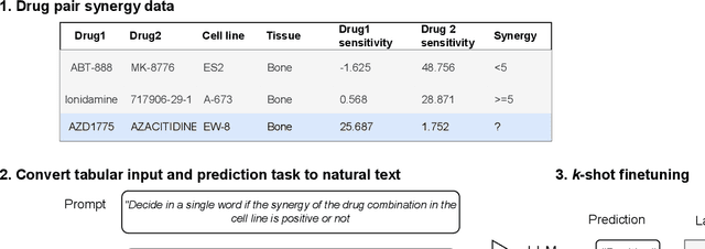 Figure 3 for CancerGPT: Few-shot Drug Pair Synergy Prediction using Large Pre-trained Language Models