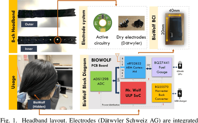 Figure 1 for Enhancing Performance, Calibration Time and Efficiency in Brain-Machine Interfaces through Transfer Learning and Wearable EEG Technology