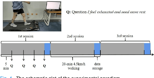 Figure 4 for Estimating Continuous Muscle Fatigue For Multi-Muscle Coordinated Exercise: A Pilot Study