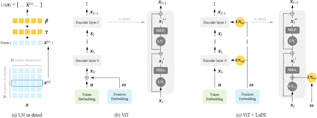 Figure 3 for Position Embedding Needs an Independent Layer Normalization