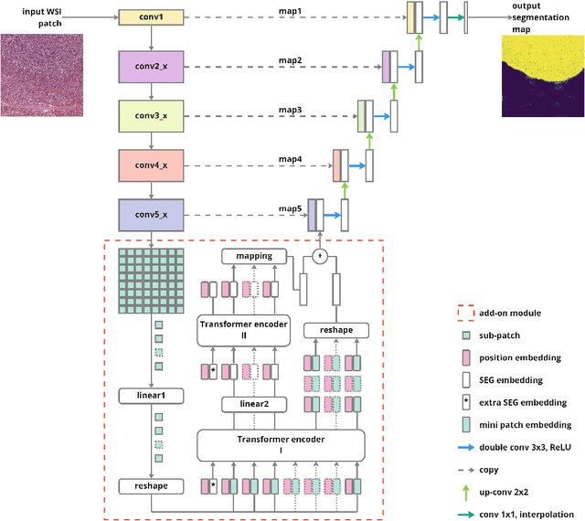 Figure 1 for A Hierarchical Transformer Encoder to Improve Entire Neoplasm Segmentation on Whole Slide Image of Hepatocellular Carcinoma