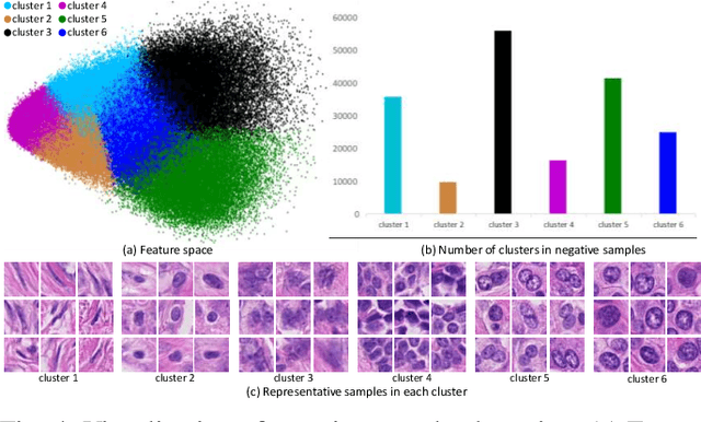 Figure 4 for Rethinking Mitosis Detection: Towards Diverse Data and Feature Representation