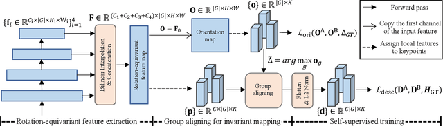 Figure 1 for Learning Rotation-Equivariant Features for Visual Correspondence