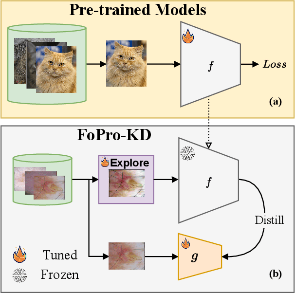 Figure 1 for FoPro-KD: Fourier Prompted Effective Knowledge Distillation for Long-Tailed Medical Image Recognition